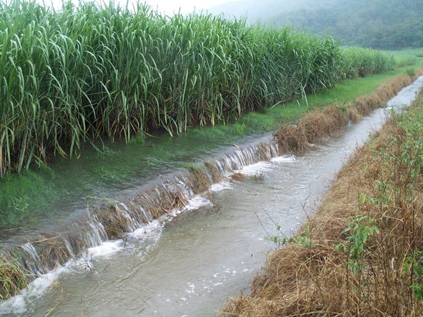 A photo of floodwater runoff from a cane field.