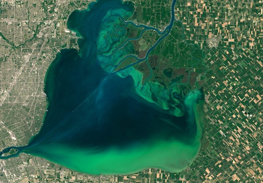 An image of an algae bloom in Lake Erie, available at Wikimedia Commons.